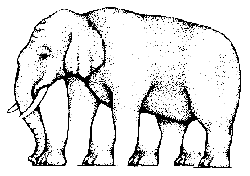 Optical illusion where you try and count the legs of an elephant