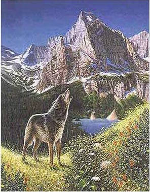 Optical illusion where you have to try and find all of the wolves inside of a picture