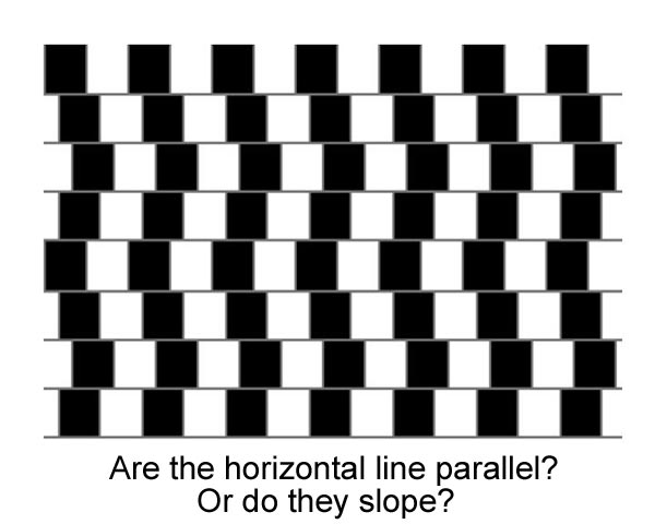 Are the lines straight?