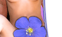 PetiteLand - Click Here Now to Enter