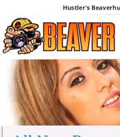 Beaver Hunt - Click Here Now to Enter