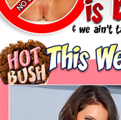 Hot Bush - Click Here Now to Enter