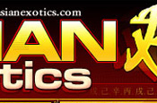 Asian Exotics - Click Here Now to Enter