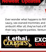 Lethal Cougars - Click Here Now to Enter