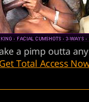 Pimp 4 A Day - Click Here Now to Enter