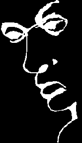 Optical illusion where the word liar looks like a face or is it the other way around
