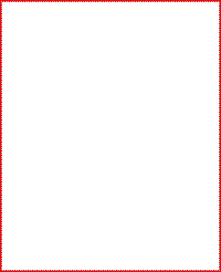 Blank white square used in the Queen Elizabeth negative optical illusion