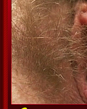 Hairy Sex Videos - Click Here Now to Enter