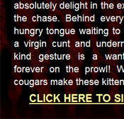 Cougars Crave Kittens - Click Here Now to Enter