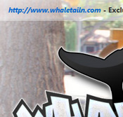 Whale Tailn - Click Here Now to Enter