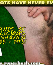SuperBush - Click Here Now to Enter