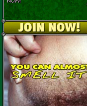 SuperBush - Click Here Now to Enter