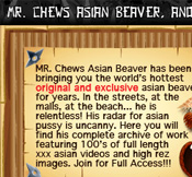 MrChewsAsianBeaver - Click Here Now to Enter